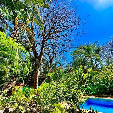 Playa Santa Teresa  Pacifica Surf Studios المظهر الخارجي الصورة